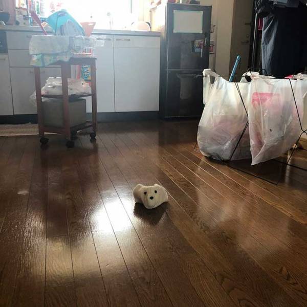 友人のリクエストでマスクを作ったら…　『完成品』に、ジワジワくる