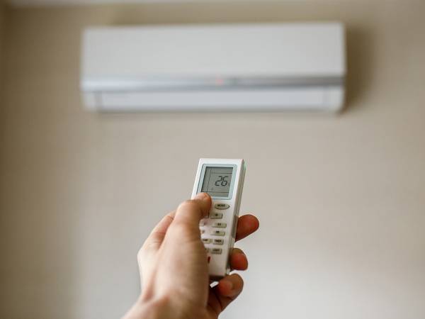 各地で夏日　シャープの『呼びかけ』に感謝の声続々