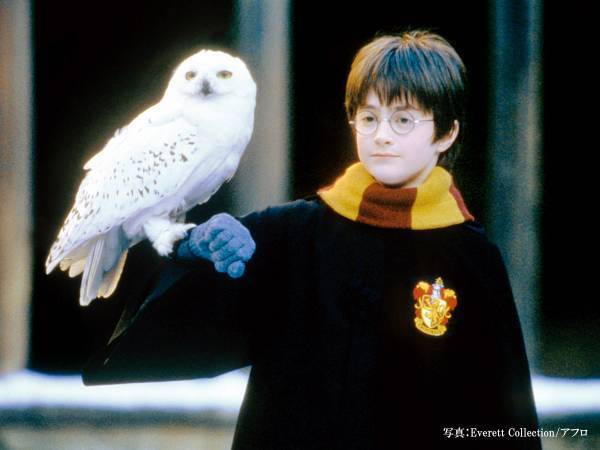 「ありがとう」「規模がすごい…」　ハリポタ作者の寄付額に衝撃