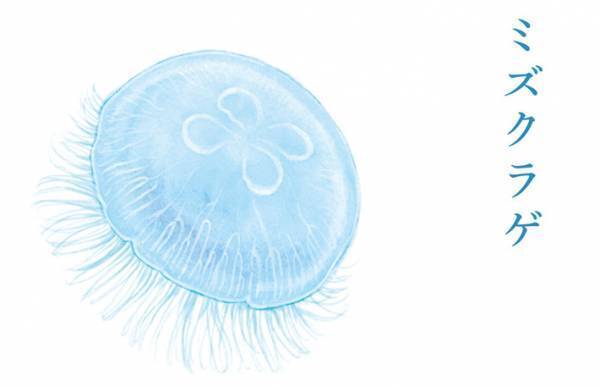 何をイメージした傘か分かる？　ニッチだけど通にはたまらない傘が話題