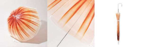 何をイメージした傘か分かる？　ニッチだけど通にはたまらない傘が話題