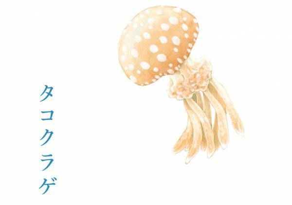 何をイメージした傘か分かる？　ニッチだけど通にはたまらない傘が話題