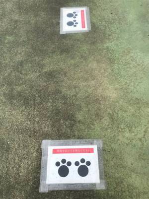 「間隔を空けてお待ちください」その下を見ると？　ヤマト運輸の貼り紙にクスッ