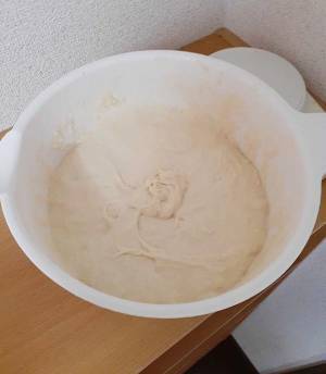 パンを作っていたらモンスターが誕生してしまった…　『数時間後の姿』に「爆笑した」の声