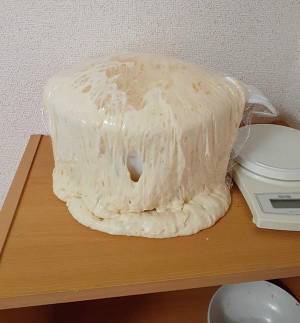 パンを作っていたらモンスターが誕生してしまった…　『数時間後の姿』に「爆笑した」の声