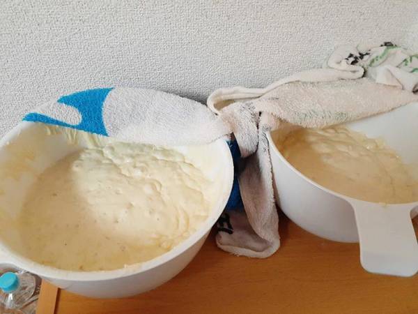 パンを作っていたらモンスターが誕生してしまった…　『数時間後の姿』に「爆笑した」の声