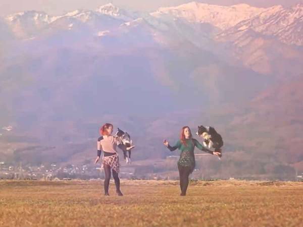 愛犬家必見！2人と2頭のチームワークに魅せられるドッグダンスとは