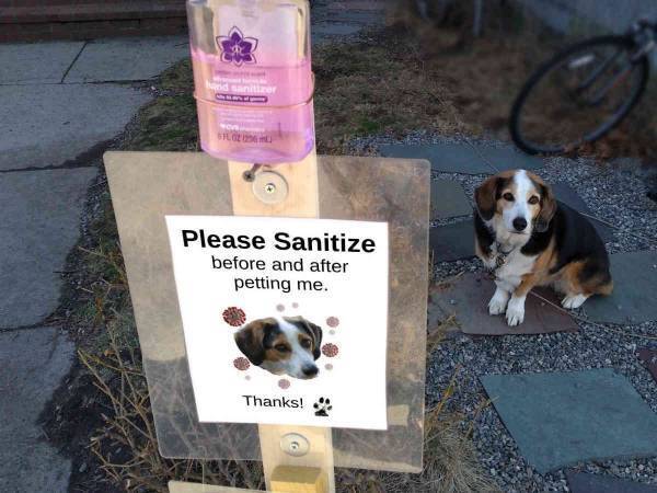 人からなでられるのが大好きな犬　飼い主が家の前に設置したものに称賛の声