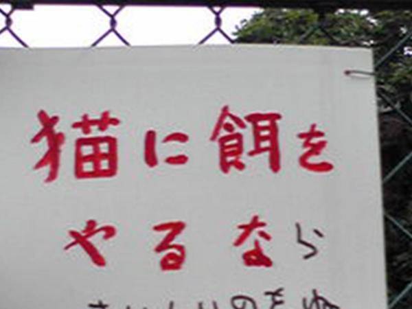 猫にエサをやるな…「ら？」　書き足された言葉に１０万人が吹いた