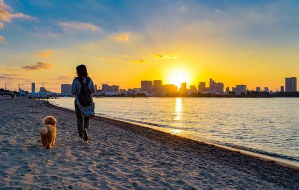 ペットが自分の体を通して私たちに伝えてくれることとは