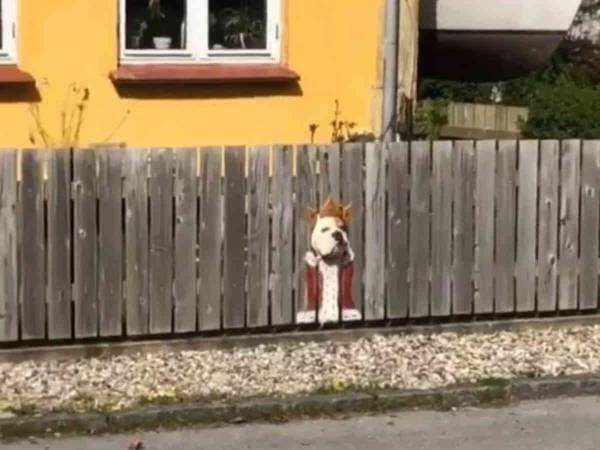 こんなの絶対に素通りできない　通行人を見張っている『王様』が二度見必至