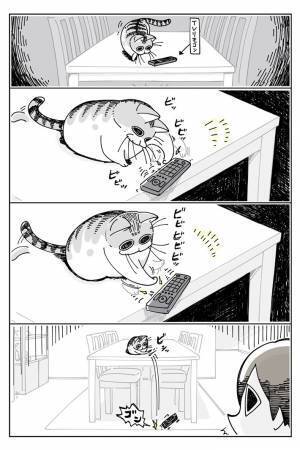 トイレから帰った飼い主が見た、猫の『ある光景』にゾッ…！