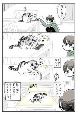 トイレから帰った飼い主が見た、猫の『ある光景』にゾッ…！