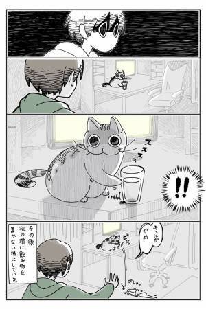 トイレから帰った飼い主が見た、猫の『ある光景』にゾッ…！