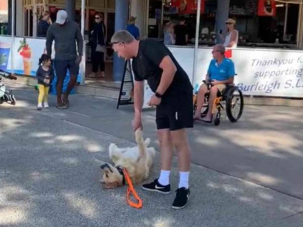 まるでコント！　家に帰りたい飼い主とまだ帰りたくない犬の攻防戦に大笑い