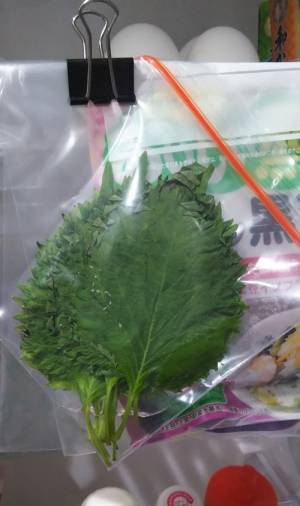 大葉の保存方法に「天才か」　余った大葉をシャキシャキのまま保存する方法