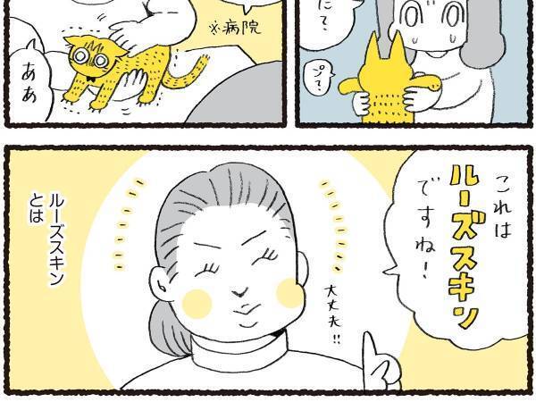 「触られるの嫌ニャ！」　『ルーズスキン』を触りたいと願う飼い主に、猫は…？
