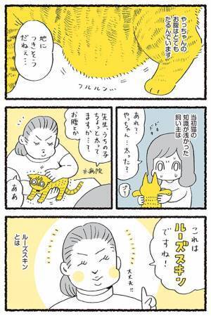 「触られるの嫌ニャ！」　『ルーズスキン』を触りたいと願う飼い主に、猫は…？