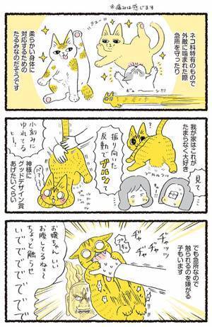 「触られるの嫌ニャ！」　『ルーズスキン』を触りたいと願う飼い主に、猫は…？