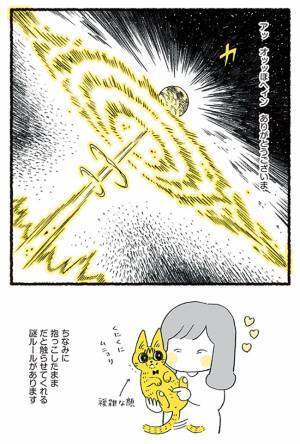 「触られるの嫌ニャ！」　『ルーズスキン』を触りたいと願う飼い主に、猫は…？