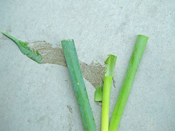 農家の人が撮影した『ある写真』に吹き出す人続出！　「切実なメッセージ…」