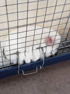 ホームセンターで掲示された『貼り紙』に衝撃が走る…　しかし、内容をよく読むと？