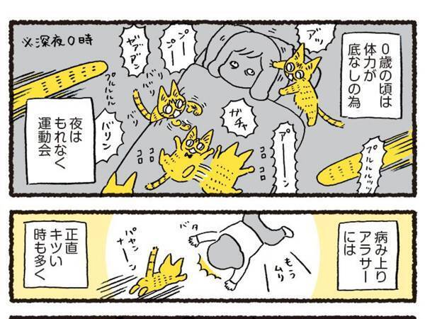 愛猫を飽きさせないよう、あらゆる策を講じた結果…　「笑った」「共感の嵐」