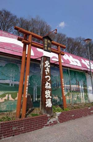 「子犬を保護しました」の投稿に「それ、犬？」という声が殺到　予想外の結末に