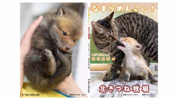 「子犬を保護しました」の投稿に「それ、犬？」という声が殺到　予想外の結末に