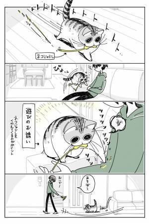 「我が家もです」「猫の七不思議の１つ」　猫と遊び始めて数秒後？