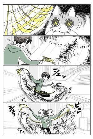 「我が家もです」「猫の七不思議の１つ」　猫と遊び始めて数秒後？