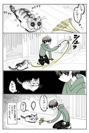 「我が家もです」「猫の七不思議の１つ」　猫と遊び始めて数秒後？