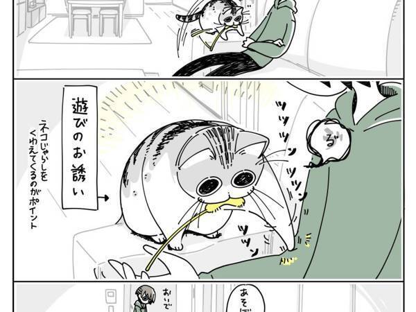 「我が家もです」「猫の七不思議の１つ」　猫と遊び始めて数秒後？