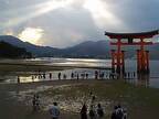 世界遺産厳島神社の大鳥居に羽ばたく鳳凰の姿に感動の嵐！