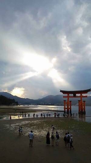 世界遺産厳島神社の大鳥居に羽ばたく鳳凰の姿に感動の嵐！