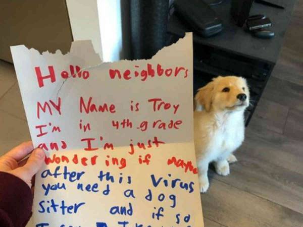 子犬に飼い主に届いた手紙　１０歳の少年のピュアなお願いにみんなが笑顔に