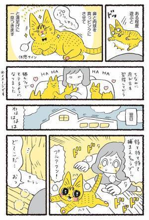 ペットとの遊び方が独特…！　思いもよらないラストに「めちゃくちゃ笑った」