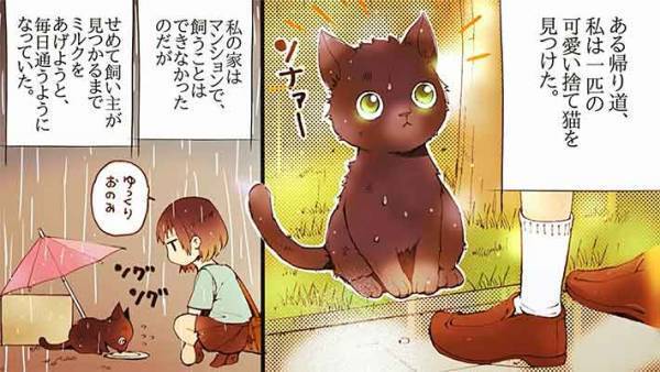 黒猫の恩返しに　「感動した」「ハッピーエンドでよかった」