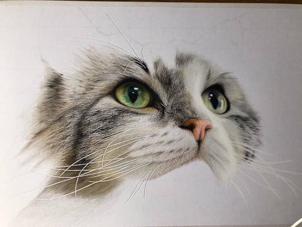 透き通る目をした猫ちゃん…　その『制作過程』に「嘘でしょ…」「すごすぎる」