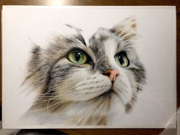 透き通る目をした猫ちゃん…　その『制作過程』に「嘘でしょ…」「すごすぎる」