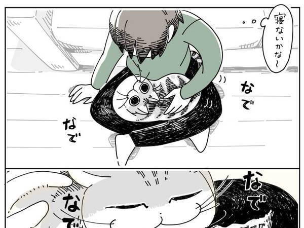 猫を膝に乗せた飼い主に襲いかかる『悲劇』に、「笑った」「あるある！」の声