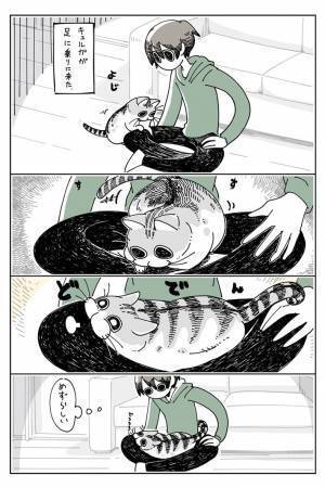 猫を膝に乗せた飼い主に襲いかかる『悲劇』に、「笑った」「あるある！」の声