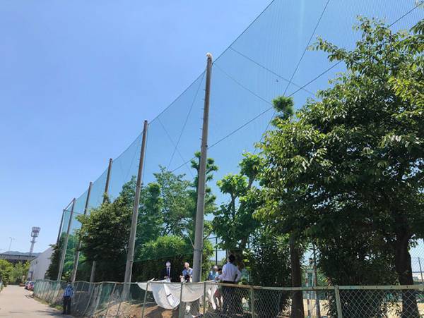 近畿大学「事件が起こりました」　猫の救出劇を４３万人が見守る