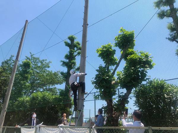 近畿大学「事件が起こりました」　猫の救出劇を４３万人が見守る