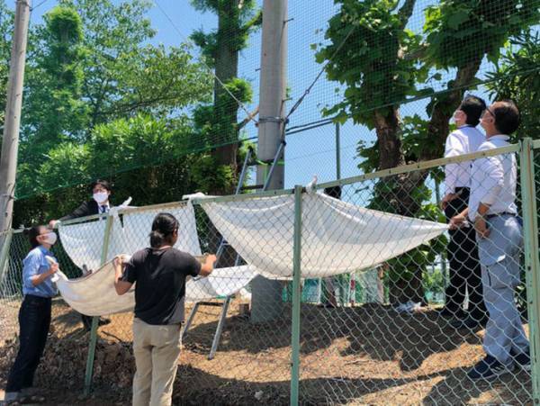 近畿大学「事件が起こりました」　猫の救出劇を４３万人が見守る