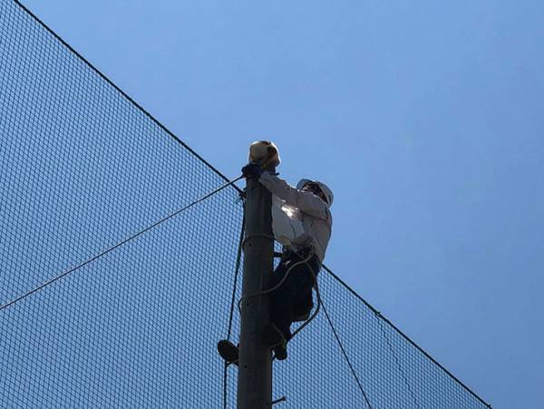 近畿大学「事件が起こりました」　猫の救出劇を４３万人が見守る