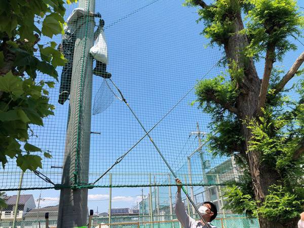 近畿大学「事件が起こりました」　猫の救出劇を４３万人が見守る