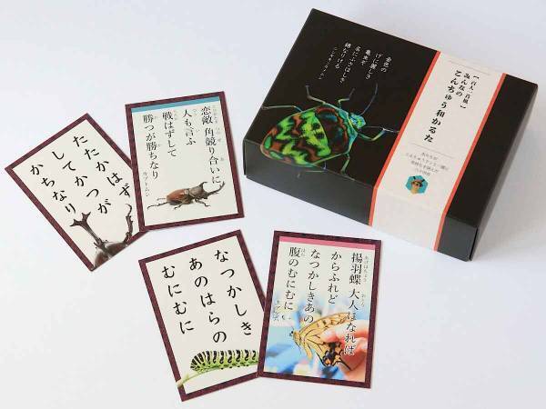 虫だって楽じゃない！？　『こんちゅう和かるた』で見えてくる昆虫の世界