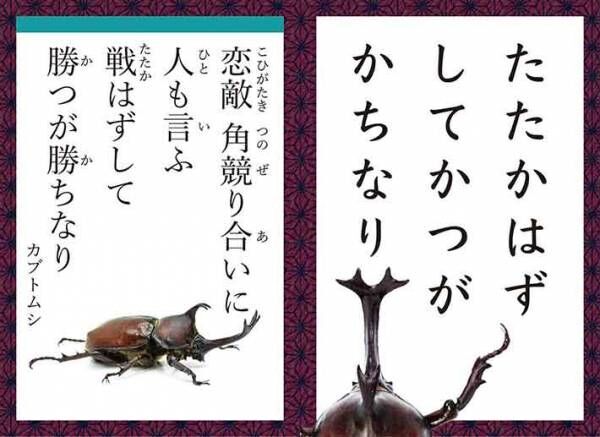 虫だって楽じゃない！？　『こんちゅう和かるた』で見えてくる昆虫の世界