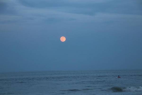 ２０２０年の『ストロベリームーン』はいつ？　チェックして空を見上げよう！